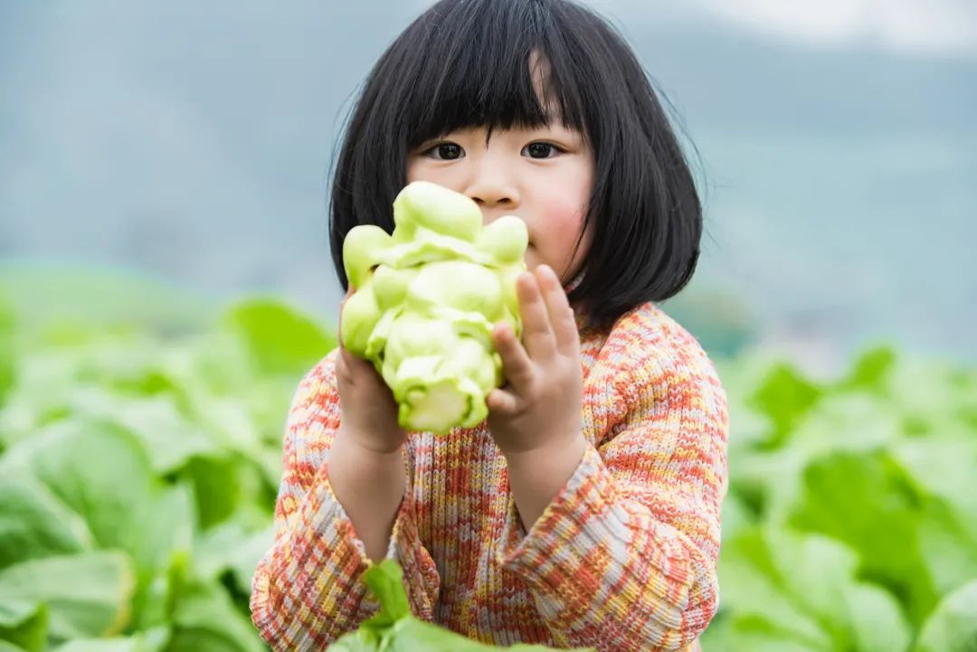 中國國家地理為《烏江》拍紀(jì)錄片，探索一包榨菜的前世今生