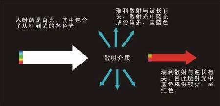 攝影用光技巧 散射光的原理與應用