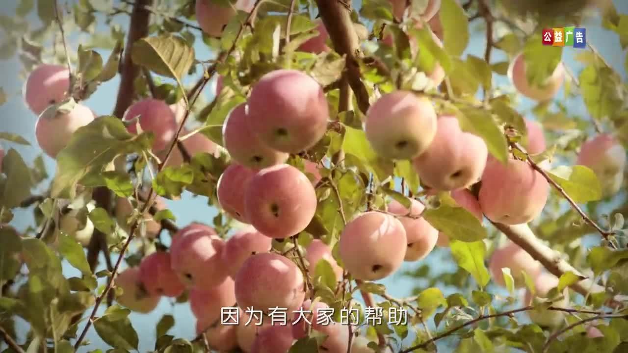 扶貧日公益廣告 果園篇