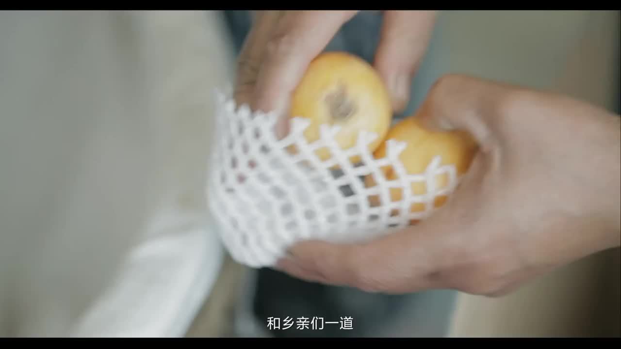 成都迦南映像-京東仁壽第三屆網上枇杷節