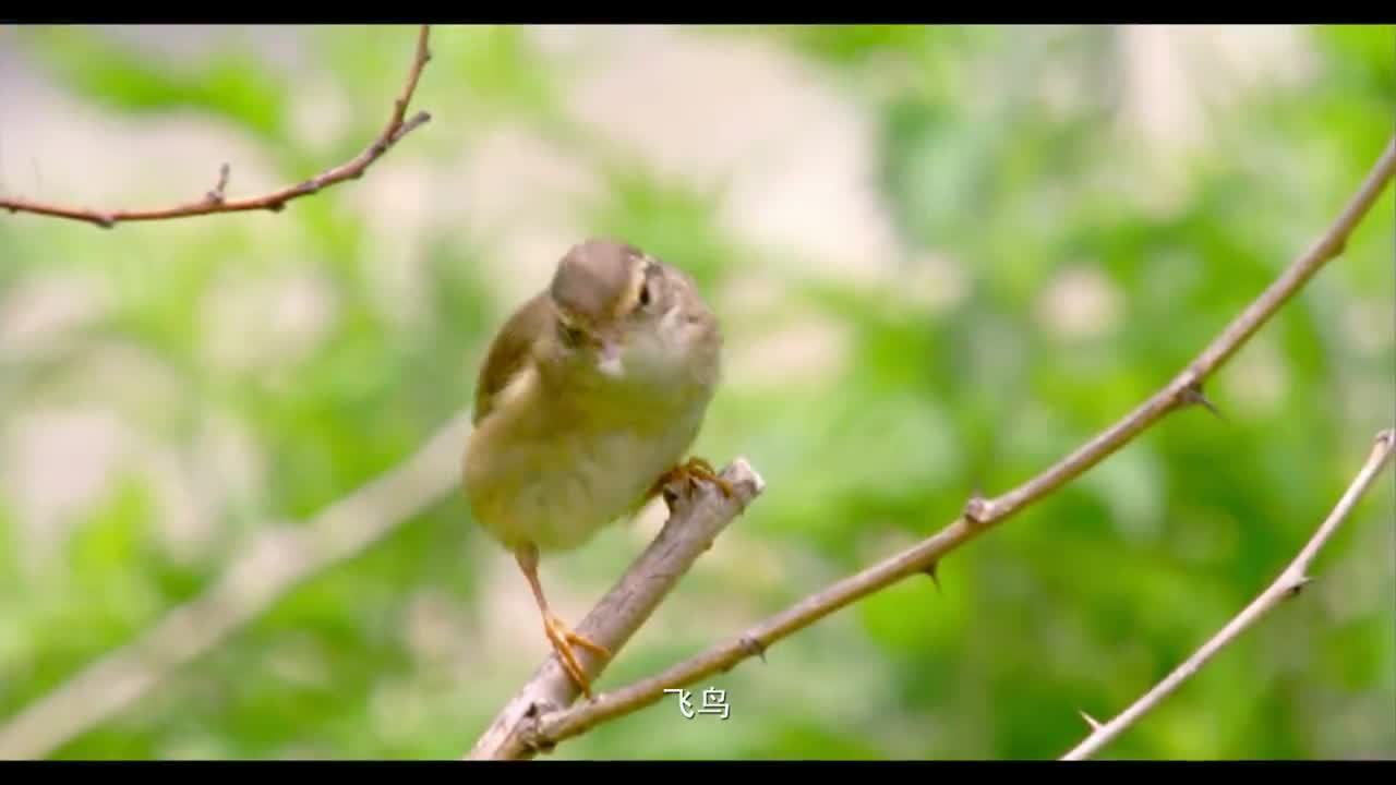 藍牙音箱產品宣傳片拍攝